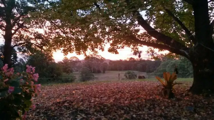 Seventh view of Homely rural property listing, 285 Irvines Rd, Tewinga NSW 2449