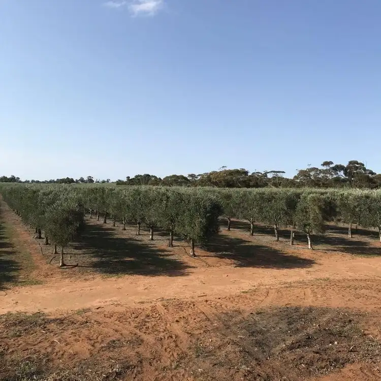 Third view of Homely rural property listing, Lot 2 Benlow Road, Waikerie SA 5330