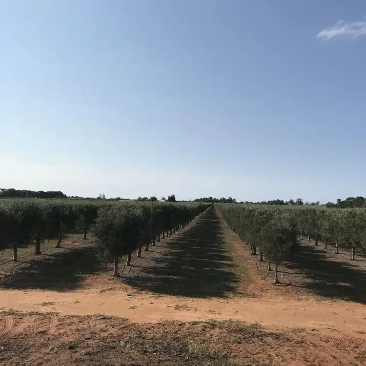 Fifth view of Homely rural property listing, Lot 2 Benlow Road, Waikerie SA 5330