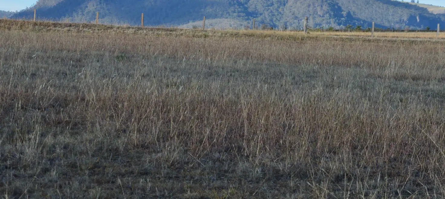 Main view of Homely rural property listing, 243 Killarney Barlows Gate Road, Killarney QLD 4373