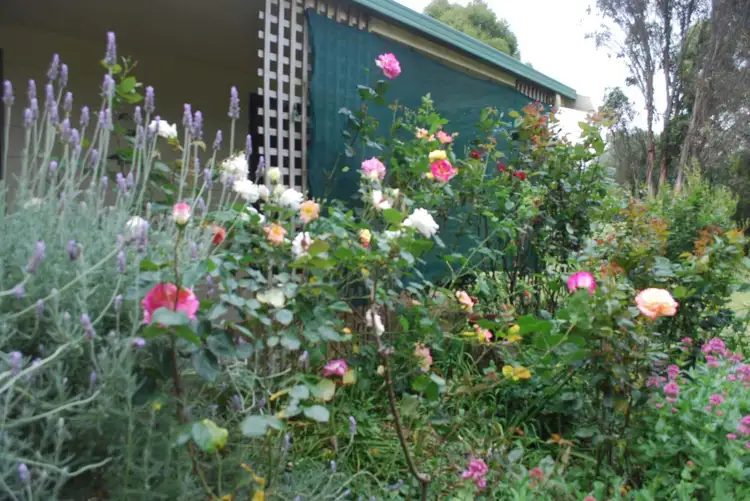 Second view of Homely rural property listing, 576 Nigretta Road, Hamilton VIC 3300