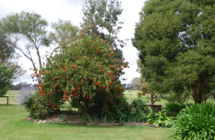 Fourth view of Homely rural property listing, 576 Nigretta Road, Hamilton VIC 3300