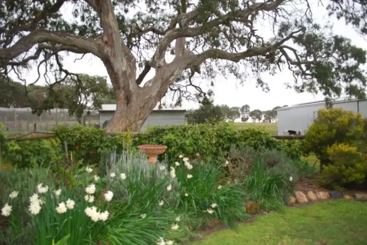 Fifth view of Homely rural property listing, 576 Nigretta Road, Hamilton VIC 3300