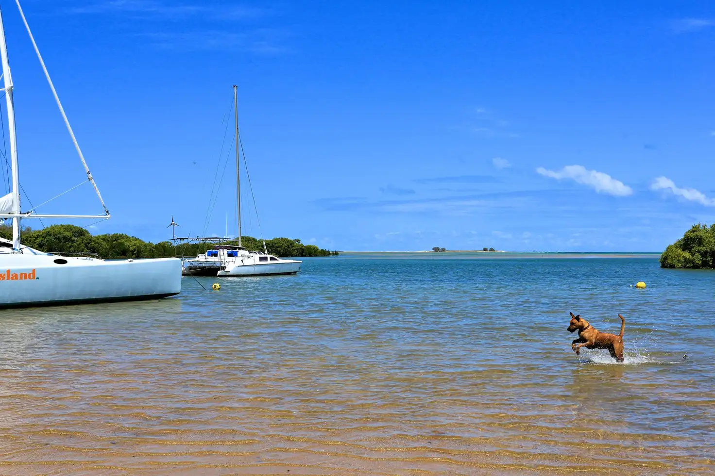Main view of Homely rural property listing, 92 Melcer Road, Elliott Heads QLD 4670