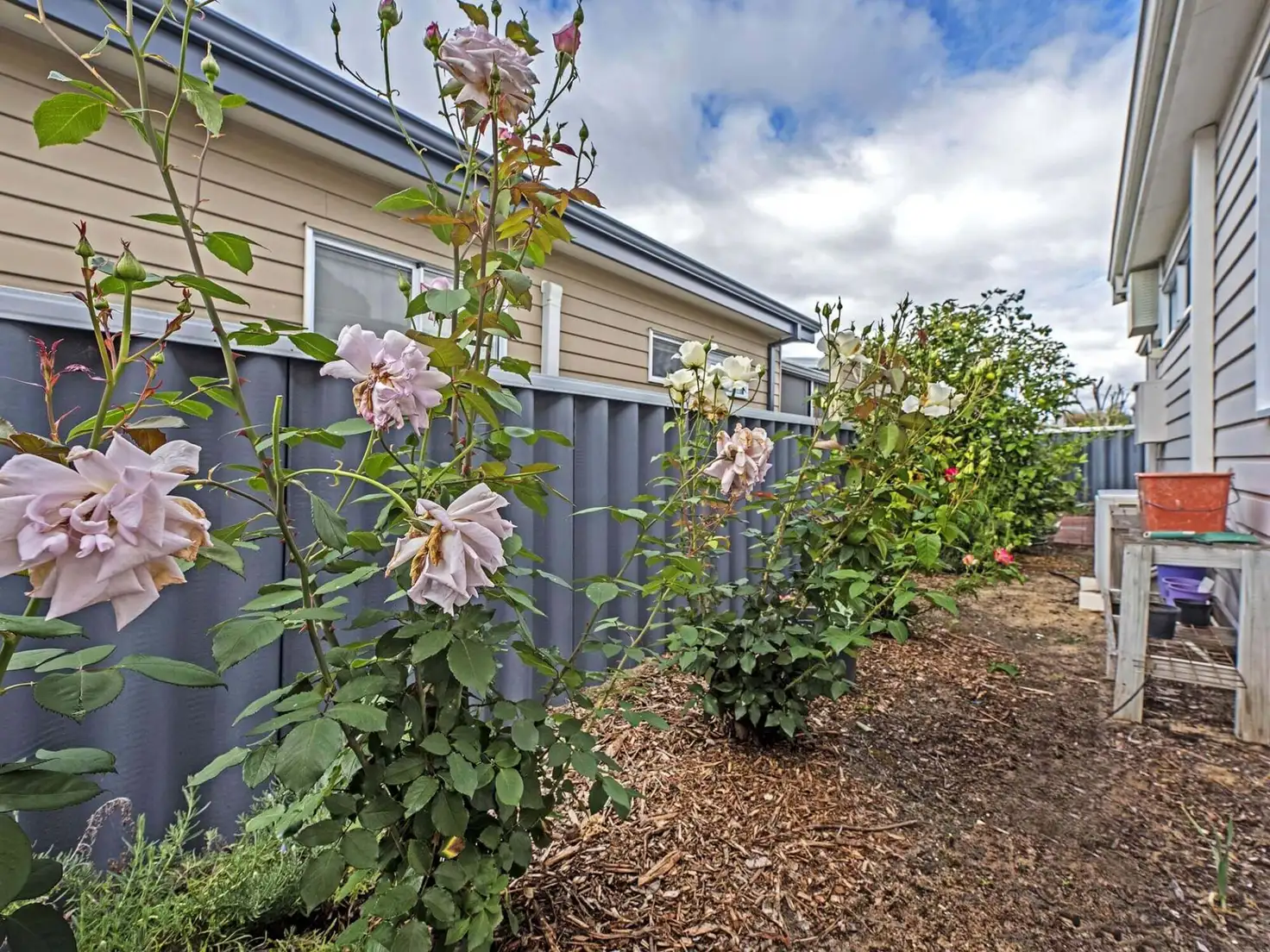 Main view of Homely retirement listing, 19/124 Sixty Eight Road, Baldivis WA 6171