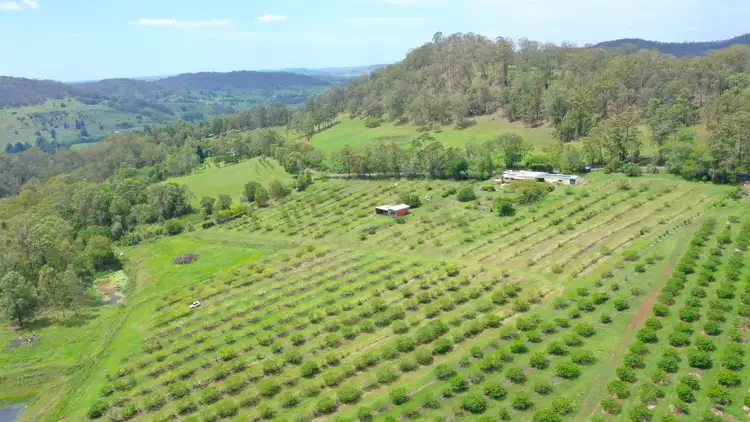 Second view of Homely rural property listing, 104 Gwynne Road, Jiggi NSW 2480