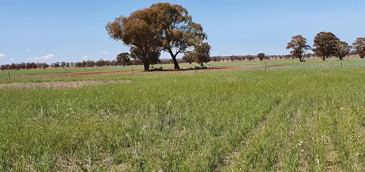 Second view of Homely rural property listing, Lot 2 & Lot 3 Blackstock Hill Road, Peak Hill NSW 2869