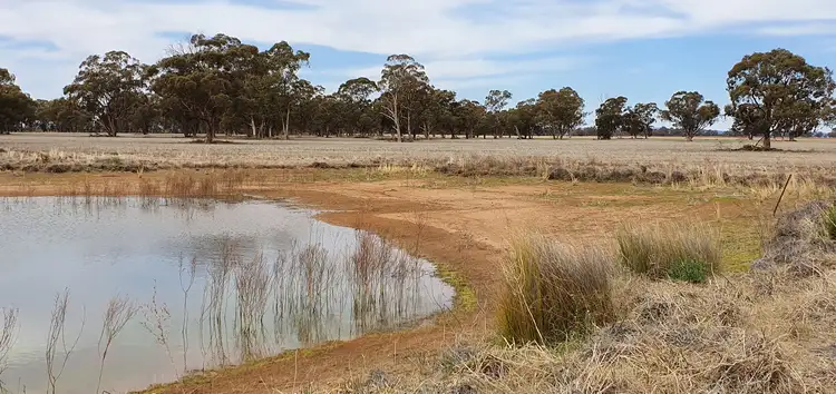 Fourth view of Homely rural property listing, Lot 2 & Lot 3 Blackstock Hill Road, Peak Hill NSW 2869