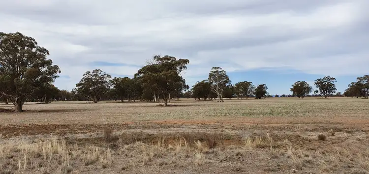 Fifth view of Homely rural property listing, Lot 2 & Lot 3 Blackstock Hill Road, Peak Hill NSW 2869