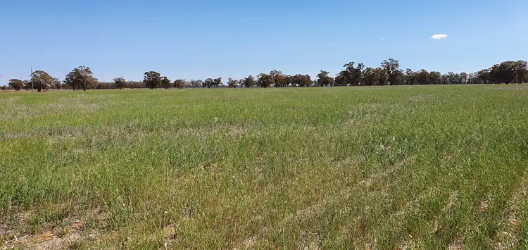 Seventh view of Homely rural property listing, Lot 2 & Lot 3 Blackstock Hill Road, Peak Hill NSW 2869