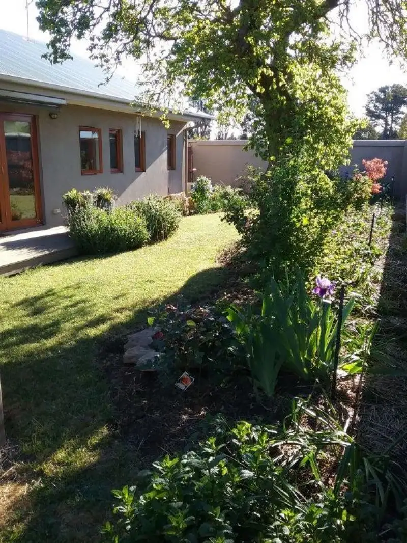 Main view of Homely rural property listing, 797 Coghills Creek Road, Coghills Creek VIC 3364