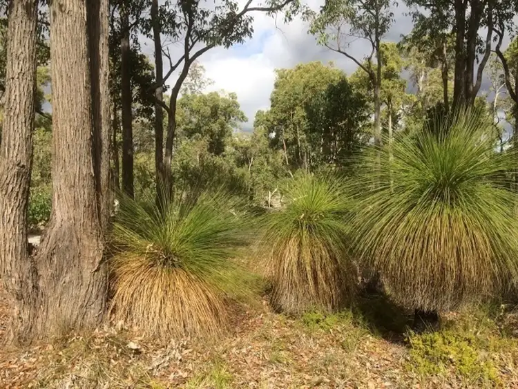 Fourth view of Homely land listing, 831 Hurst Road, Argyle WA 6239