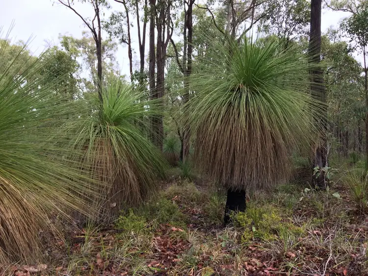 Fifth view of Homely land listing, 831 Hurst Road, Argyle WA 6239