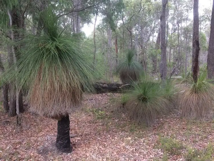 Seventh view of Homely land listing, 831 Hurst Road, Argyle WA 6239