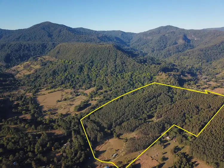 Second view of Homely rural property listing, 306 Crofton Road, Nimbin NSW 2480