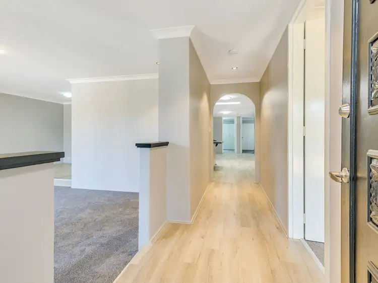 12 Levine Court