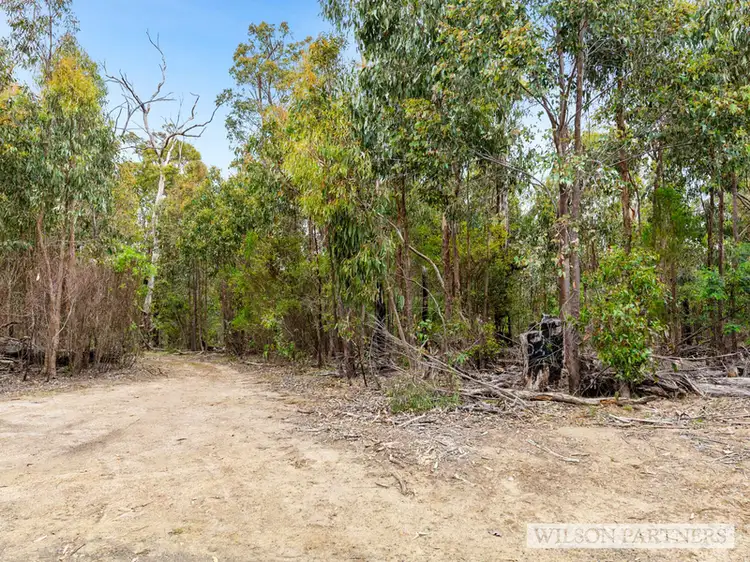 Main view of Homely rural property listing, 520 MURCHISON SPUR ROAD, Reedy Creek VIC 3658