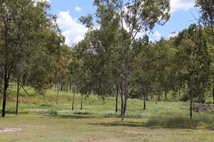 Fourth view of Homely rural property listing, 486 Deep Creek Road, Wooderson QLD 4680