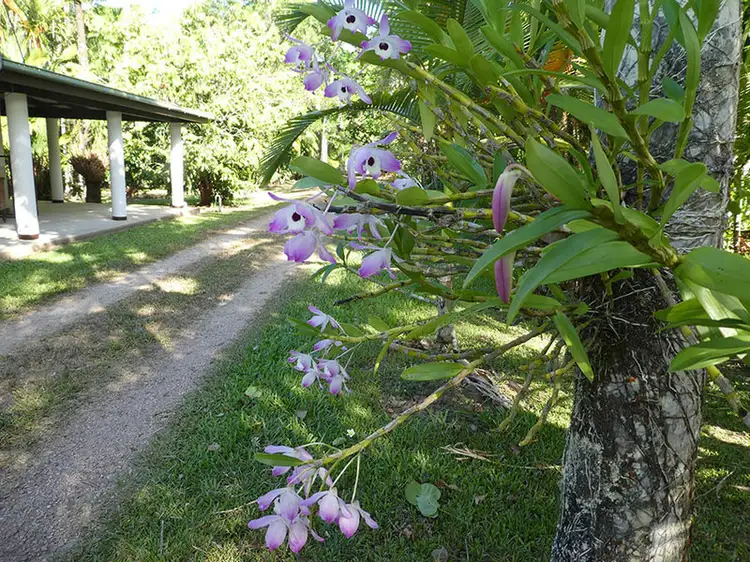 Seventh view of Homely rural property listing, 662 El Arish Mission Beach Road, Mission Beach QLD 4852