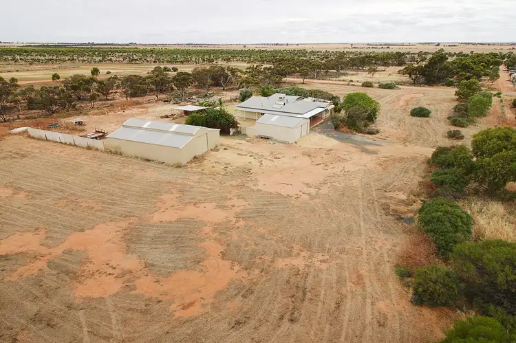 55 Ninghan Rd, Koorda WA 6475