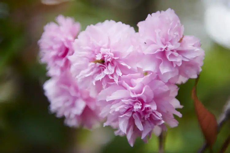 Seventh view of Homely house listing, 10 Middle Street, Gledhow WA 6330