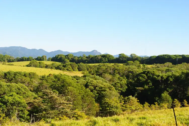 Second view of Homely land listing, 106 Pinnacle Rd, Julatten QLD 4871