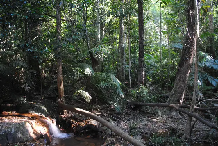 Third view of Homely land listing, 106 Pinnacle Rd, Julatten QLD 4871