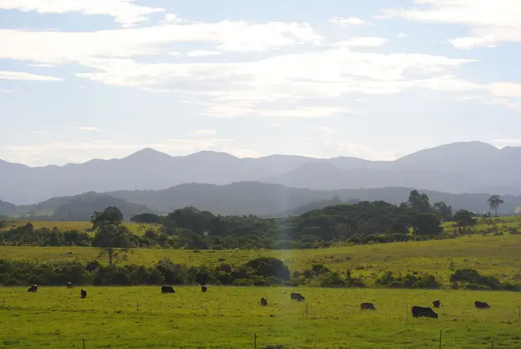 Fifth view of Homely land listing, 106 Pinnacle Rd, Julatten QLD 4871