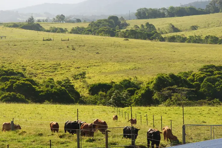 Seventh view of Homely land listing, 106 Pinnacle Rd, Julatten QLD 4871