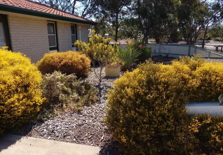 Seventh view of Homely house listing, 8 Male Court, Murray Bridge SA 5253