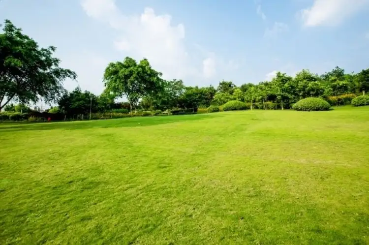 Main view of Homely land listing, 30 Elmslie drive, Cranbourne VIC 3977