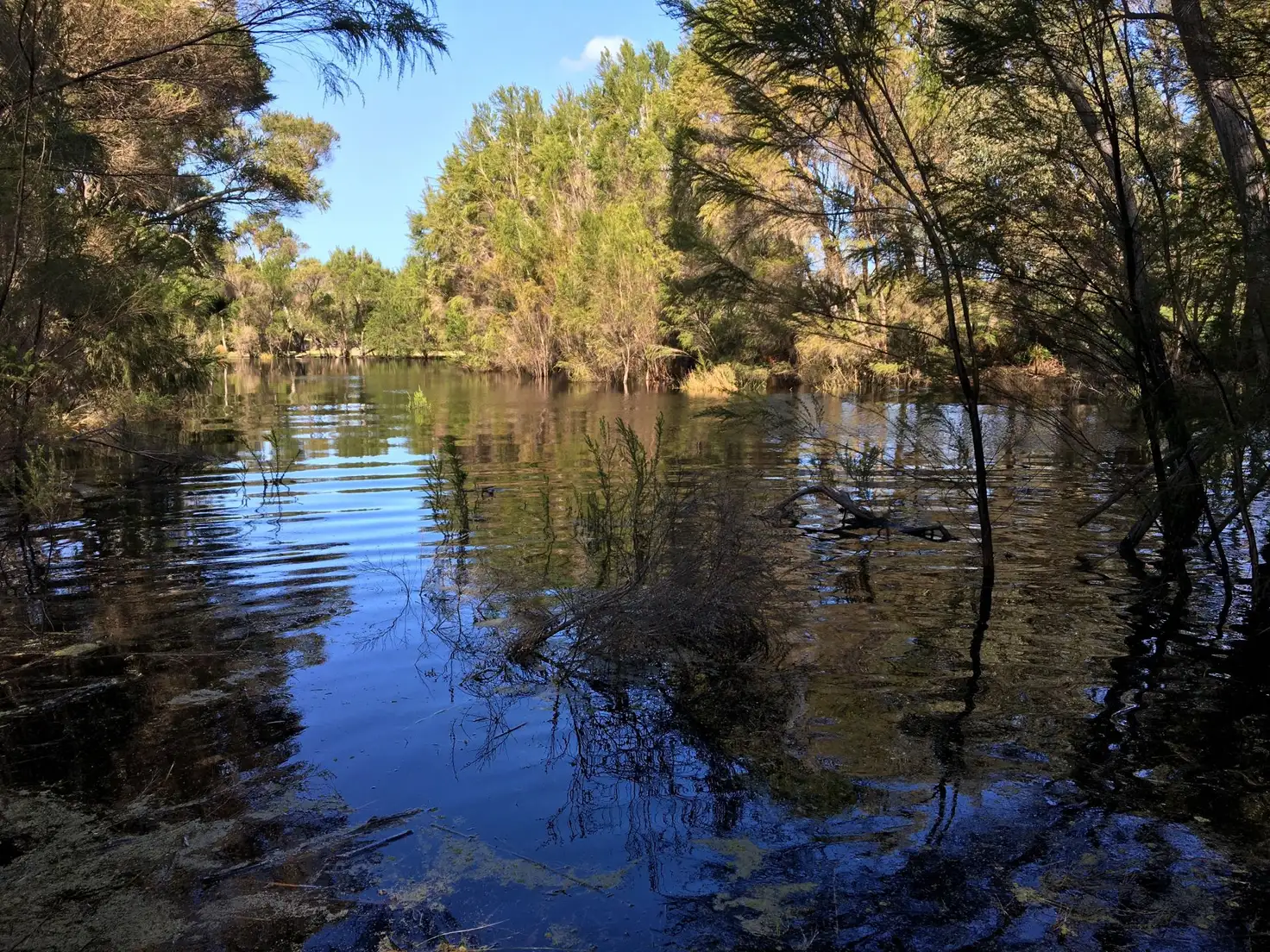 Main view of Homely rural property listing, 489 Thompson Rd, Lowlands WA 6330