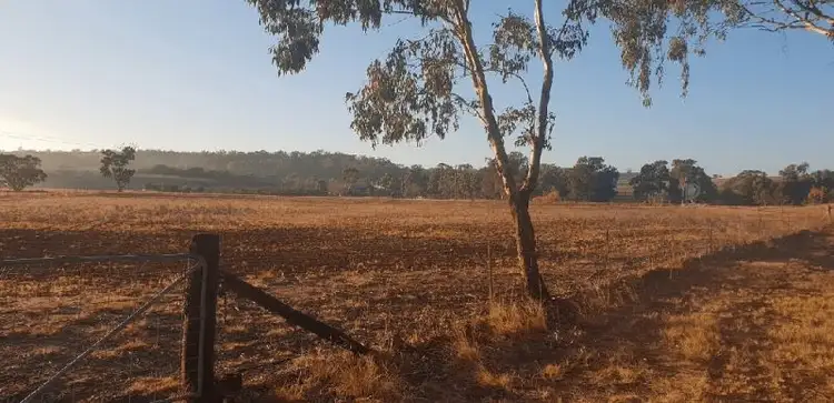 Fourth view of Homely rural property listing, 6304 Warrumbungles Way, Coonabarabran NSW 2357