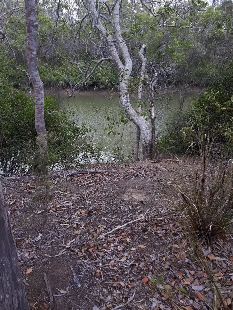 118 Pacific Haven Circuit, Pacific Haven QLD 4659