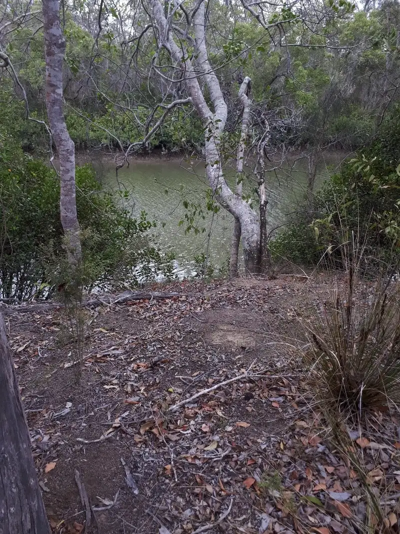 Main view of Homely land listing, 118 Pacific Haven Circuit, Pacific Haven QLD 4659