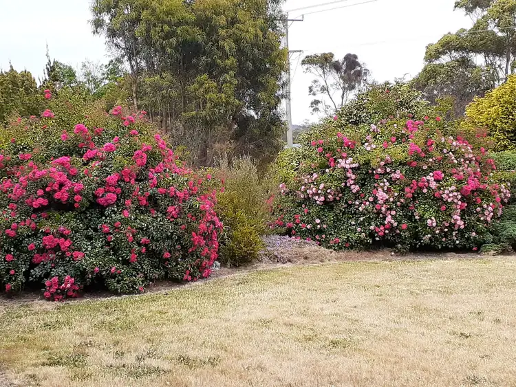 Second view of Homely house listing, 44 Parkersford Road, Port Sorell TAS 7307