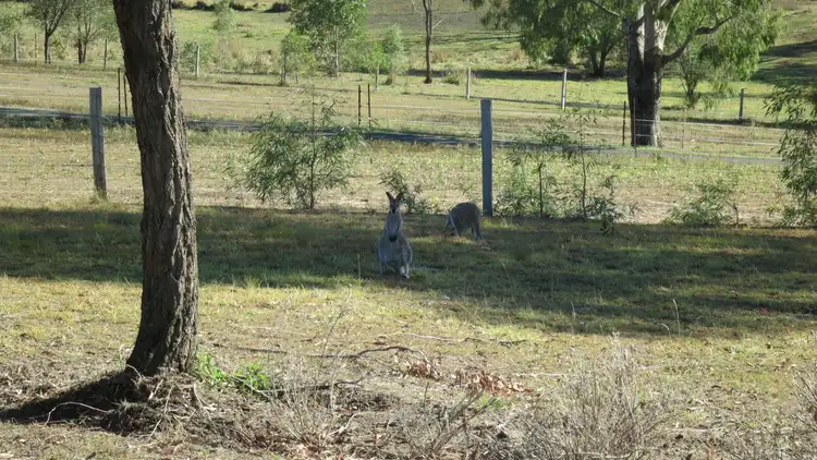Seventh view of Homely house listing, 1-3 Rosehill Court, Mundoolun QLD 4285