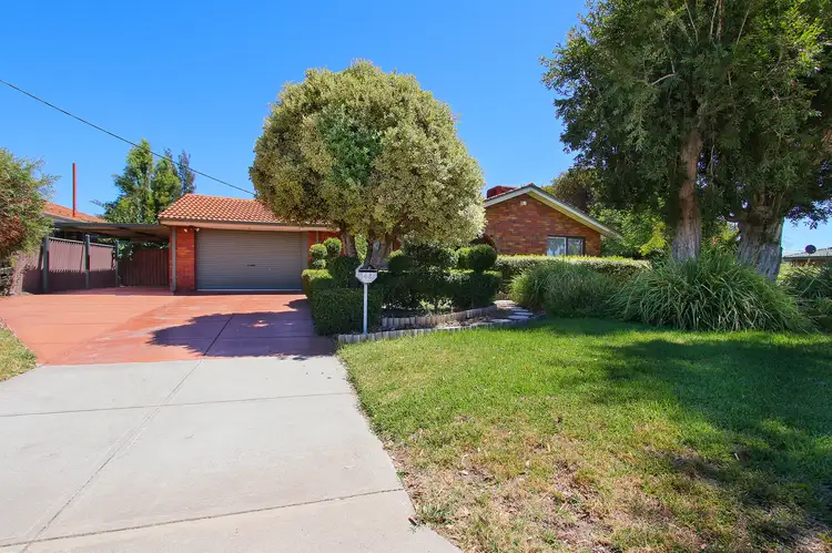 46 Cerberus Avenue, Parkwood WA 6147