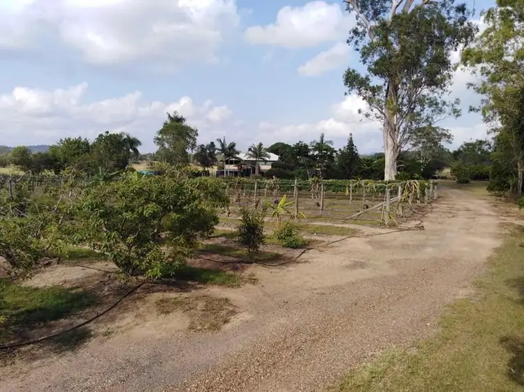Sixth view of Homely rural property listing, 632 Doonan Bridge Road North, Doonan QLD 4562