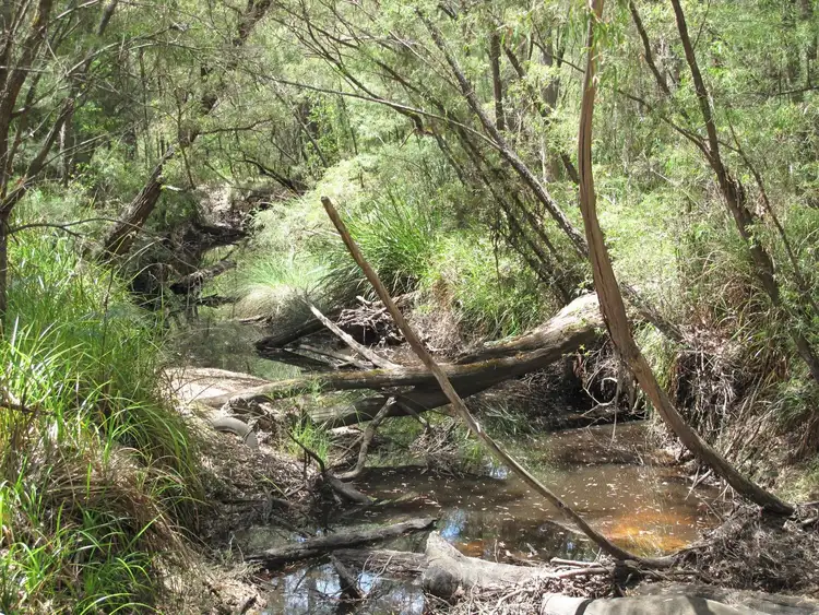 Third view of Homely rural property listing, 21 Riche Road, Denmark WA 6333