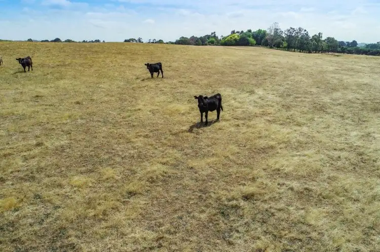 Sixth view of Homely rural property listing, LOT 2 Yahl Road, Glenburnie SA 5291