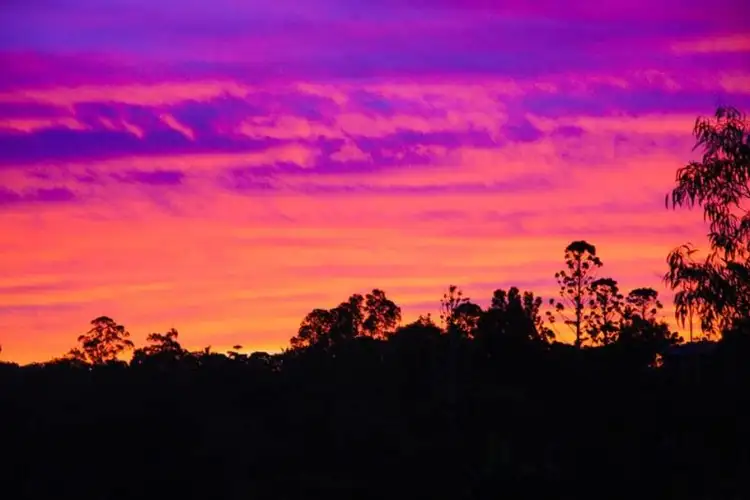 Sixth view of Homely house listing, 22 Arista Court, Bli Bli QLD 4560