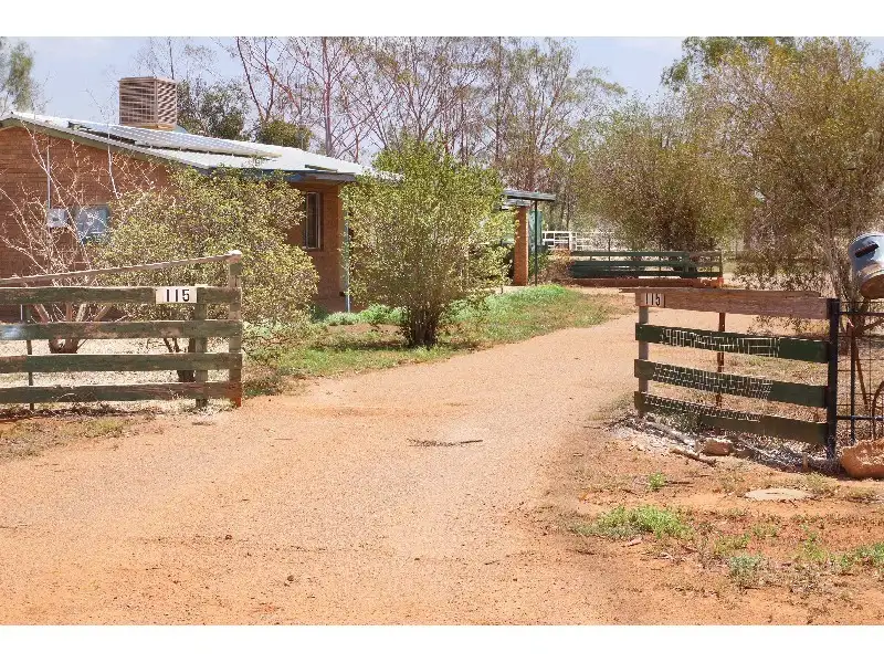 Main view of Homely rural property listing, 115 Jones Circuit, Narromine NSW 2821