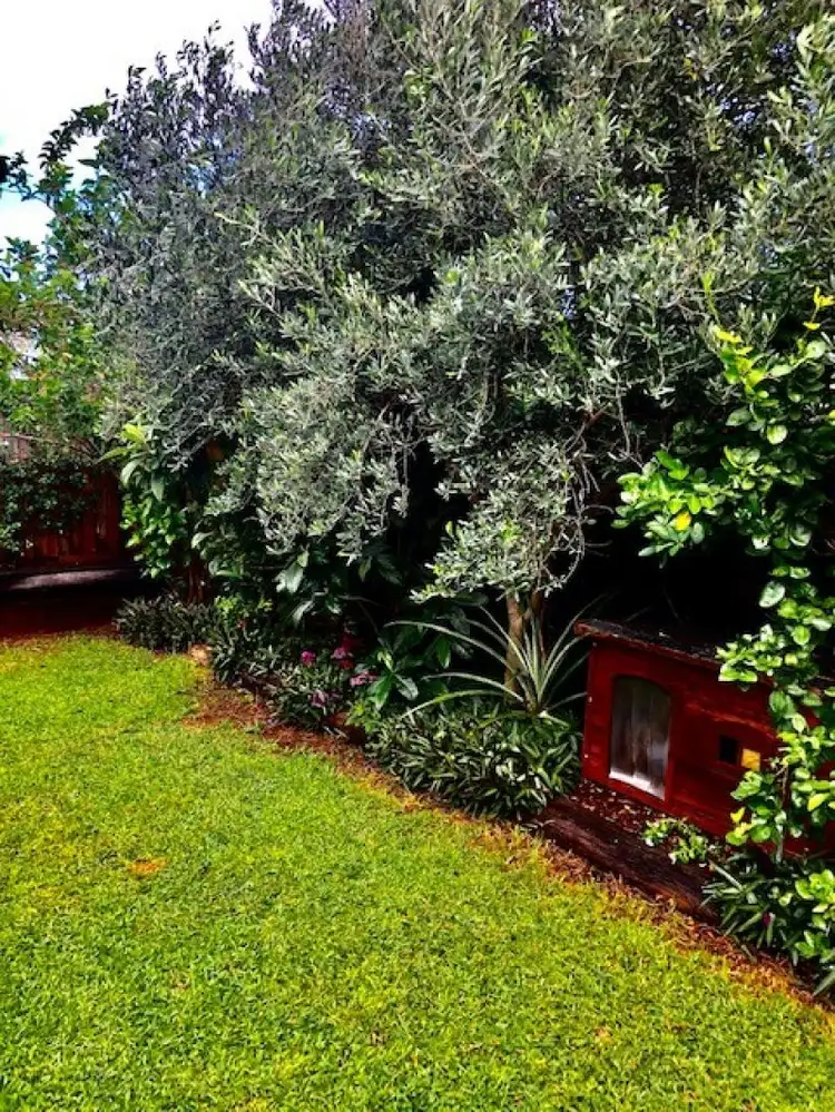 Sixth view of Homely house listing, 5 Tribeca Circuit, North Lakes QLD 4509