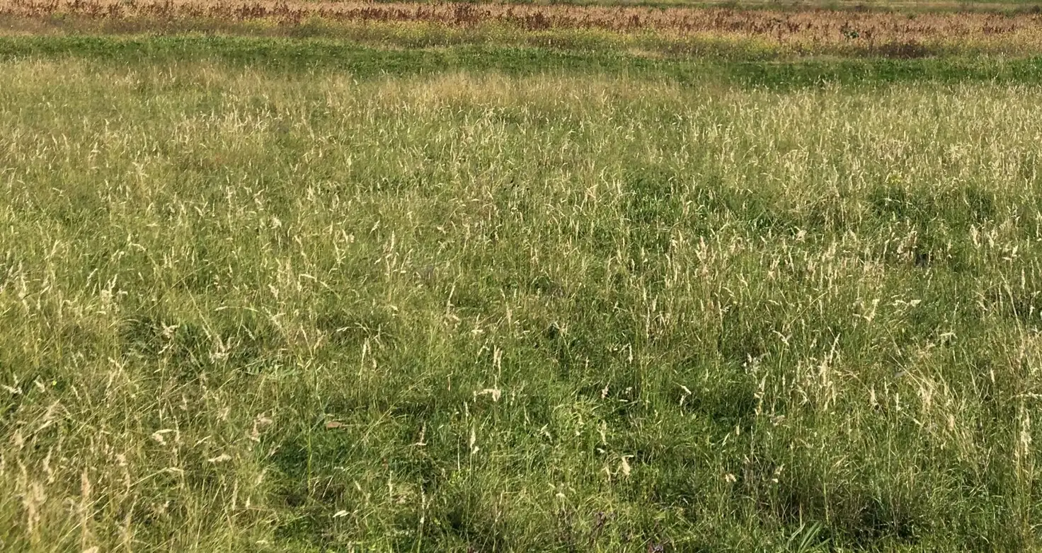Main view of Homely land listing, Lot 28 & Lot 1 Spring Creek Road, Killarney QLD 4373