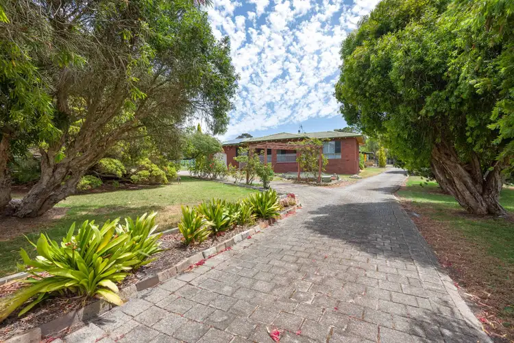 Main view of Homely house listing, 503 Lower King Road, Lower King WA 6330