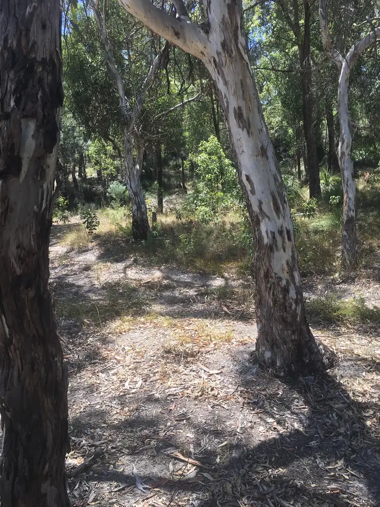 Fifth view of Homely land listing, 108 Ferguson Road, Glen Forrest WA 6071