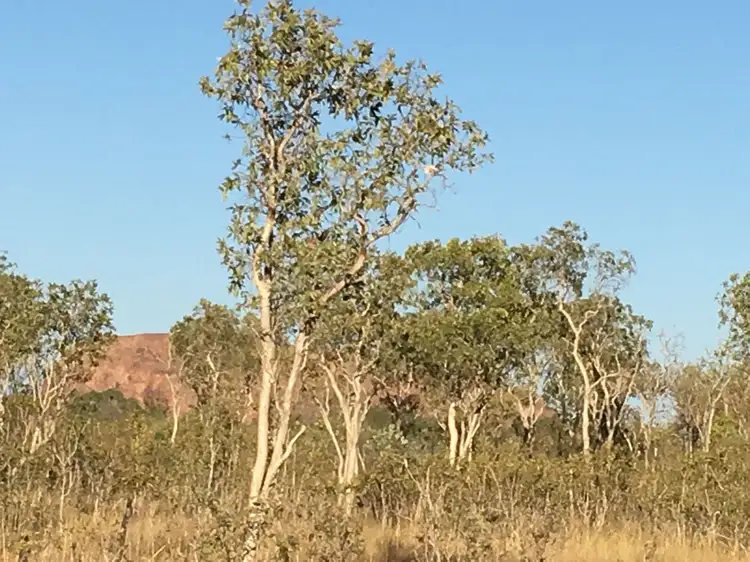 Lot 200 Egret Close, Kununurra WA 6743