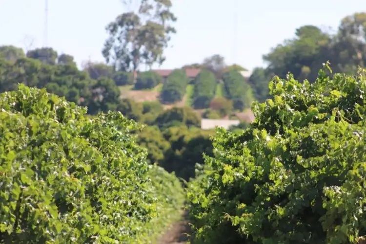 Sixth view of Homely rural property listing, 201 West Road, Waikerie SA 5330