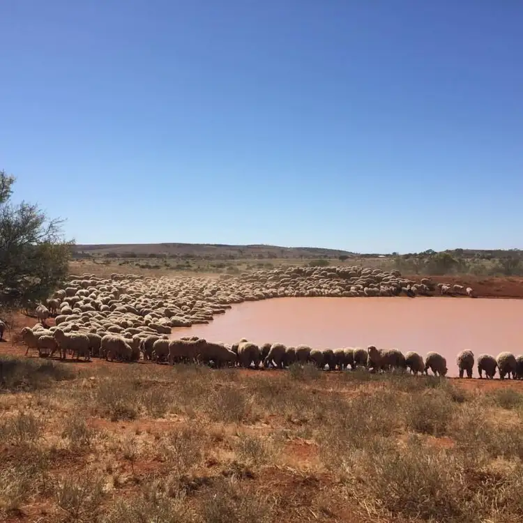 Fifth view of Homely rural property listing, Address available on request